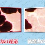 写真  京都府立大学生命環境科学研究科 分子栄養学研究室